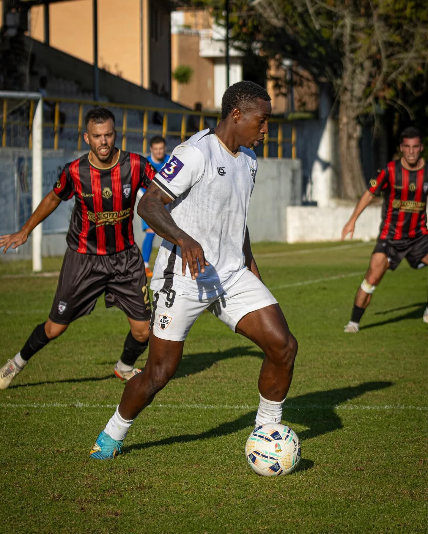 Fotografia de dia de jogo — fotografia 31 de Bruna Ferreira