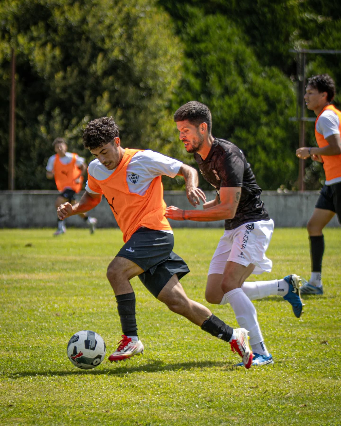 Jogo de treino — fotografia 3 de Bruna Ferreira